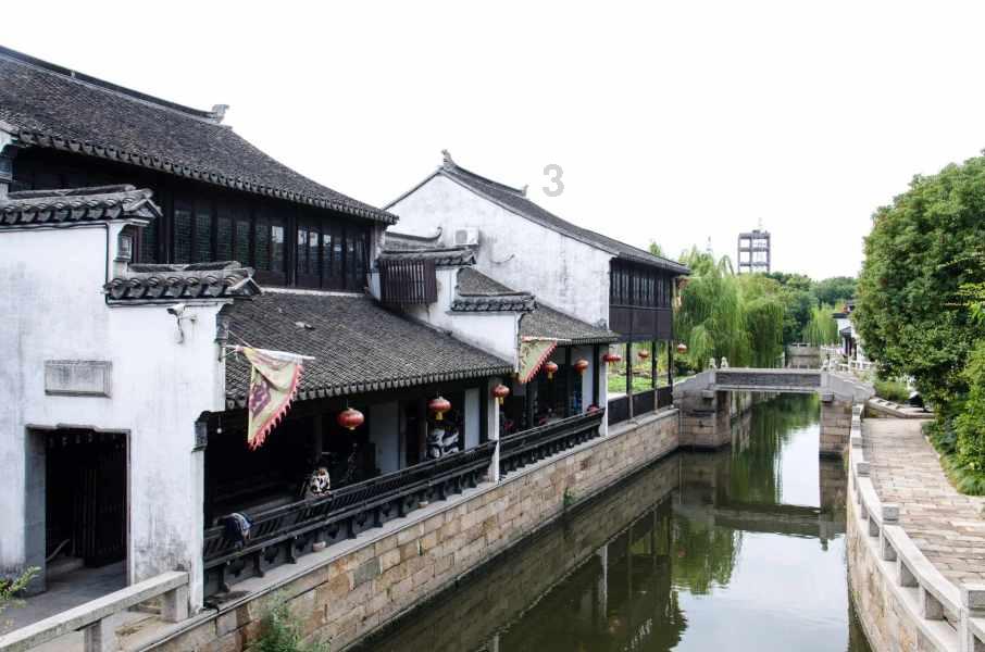寻找萌宠松鼠